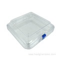 13x13x5cm Elastic Film Transparent Denture Box with Membrane